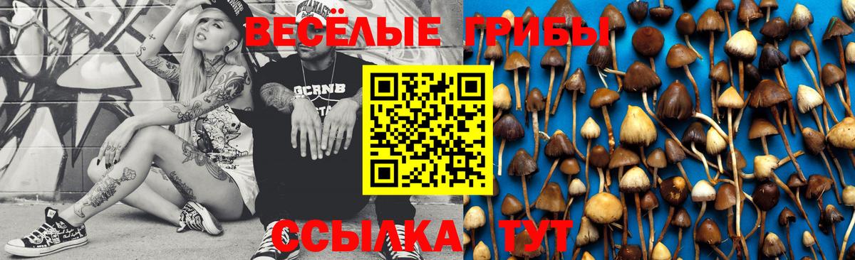 Лысьва  Псилоцибиновые грибы MAGIC MUSHROOMS  Вход с VPN 